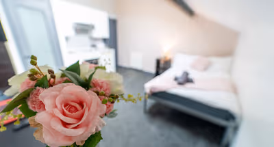 Charming studios close to the city