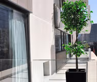 La Capitanía Apartment