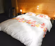 130 sqm Alpine Apartment in Gstaad