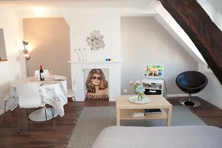Elegant Parisian Studio in Marais 4eme