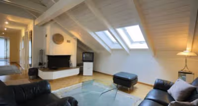 Fellenbergstrasse-Uetliberg serviced Apartment
