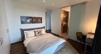 Schärenmoosstrasse 78