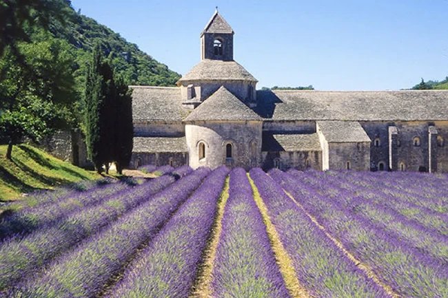 Quintessential Provencal Villa in the Hamlet of Maubec
