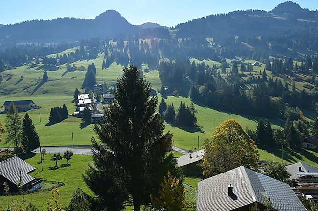 19th Century Sun Drenched Chalet With View of Hornberg