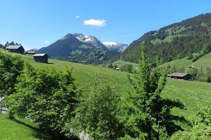 Sun Drenched Lawn and Chalet in Gstaad