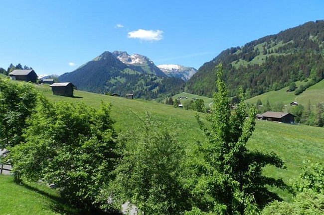 Sun Drenched Lawn and Chalet in Gstaad