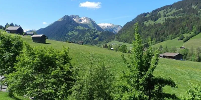 Sun Drenched Lawn and Chalet in Gstaad