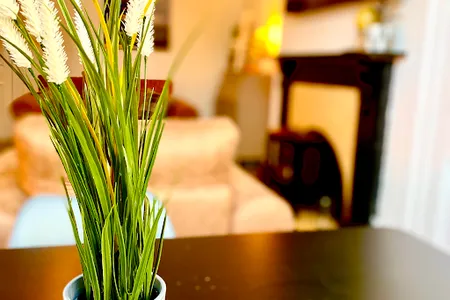 Anchored | Homely Apartment in Historic Centre