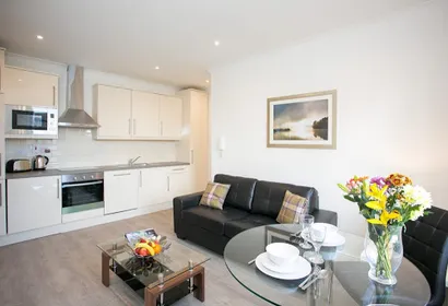 Grand Canal District Serviced Apartment, Ballsbridge