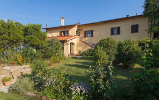 Olive Grove Porcigliano - Florence Hillside