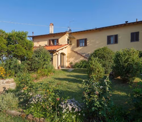 Olive Grove Porcigliano - Florence Hillside