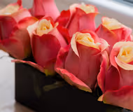 Okopowa Serviced Apartment