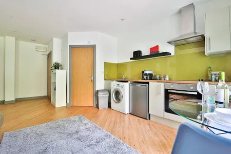 Princess Lofts Studio- Swansea City Centre