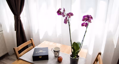 Calea Victoriei Serviced Apartment