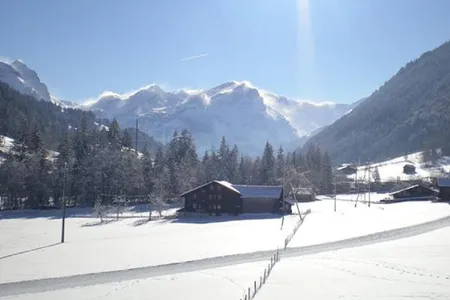Top Floor Gstaad Velvet Luxury Chalet Next to Cross Country Ski Trail