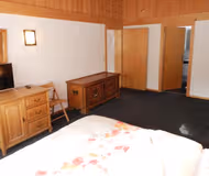 130 sqm Alpine Apartment in Gstaad