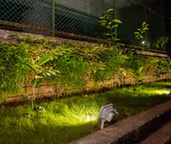 Gulshan I Serviced Apartments, Dhaka - II