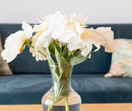 Sucha Serviced Apartment