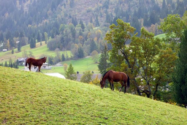 Gstaad Chalet With Breathtaking Views