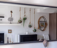 The Ravenscourt Park Collection