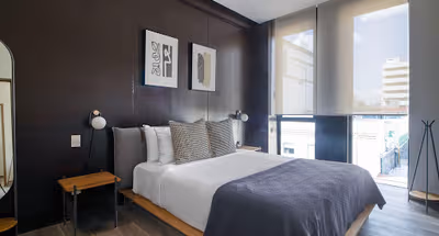 Roma Norte Cuadra Apartment