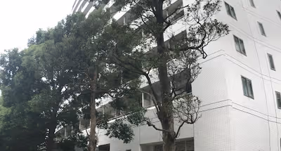 Studio Superior in Shinagawa