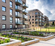 Exterior of Mill Park