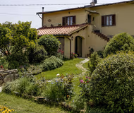 Exterior of Olive Grove Porcigliano - Florence Hillside