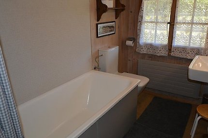 19th Century Sun Drenched Chalet With View of Hornberg