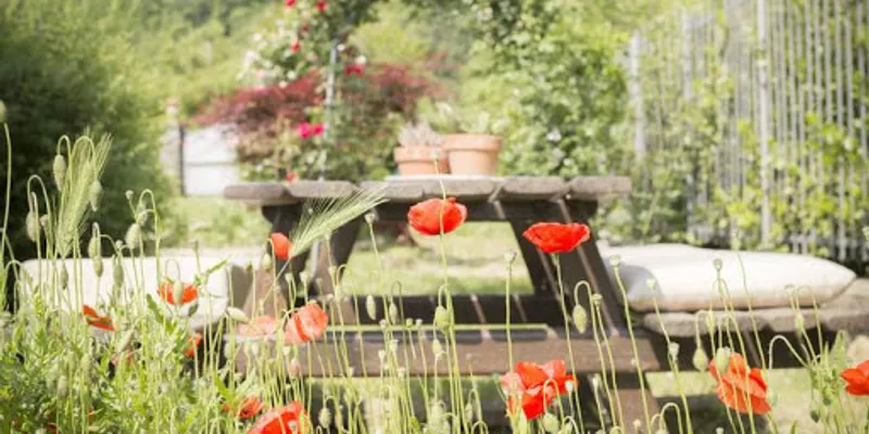 A Charming Country Style Villa in Mugello