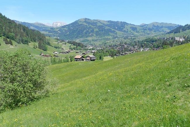 Sun Drenched Lawn and Chalet in Gstaad