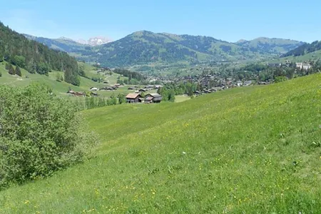 Sun Drenched Lawn and Chalet in Gstaad