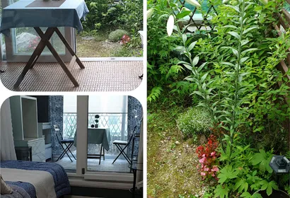 Sampyeong-Dong Apartments