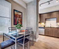 Harry Hines Blvd Apartment