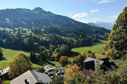 19th Century Sun Drenched Chalet With View of Hornberg