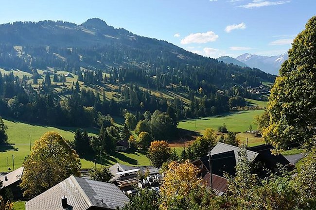 19th Century Sun Drenched Chalet With View of Hornberg