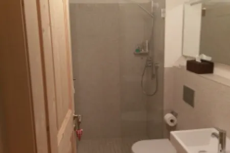 Serneus  Serviced apartment