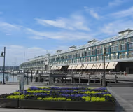 Dowling Street Apartments