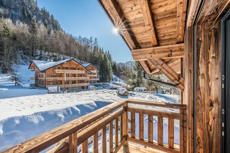 Alpine Snow