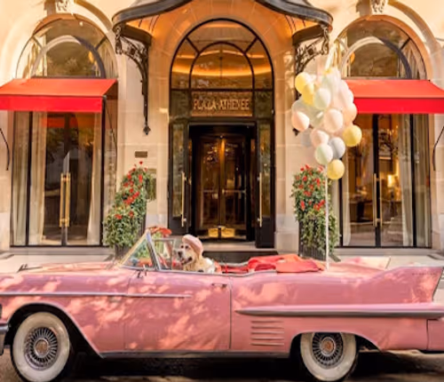 Luxury with a view of the Avenue De Montaigne