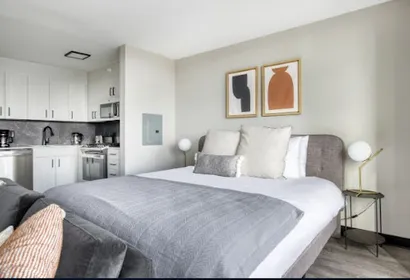W Ogden Avenue Serviced Apartment