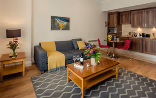 Lower Leeson St Apartment Temple Bar Dublin