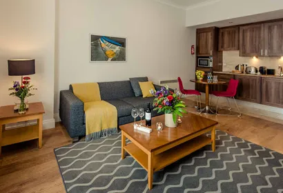 Lower Leeson St Apartment Temple Bar Dublin