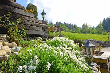 Classic and Exquisite Chalet in Gstaad