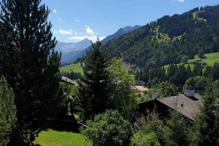 A Private Chalet With Views Over the Eggli and the Oldenhorn