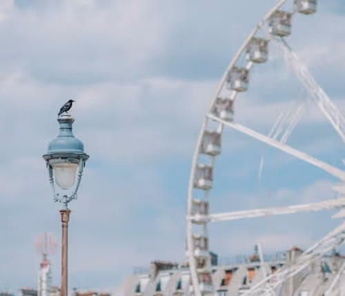 SPACIOUS STUDIO TUILERIES RUE SAINT HONORE