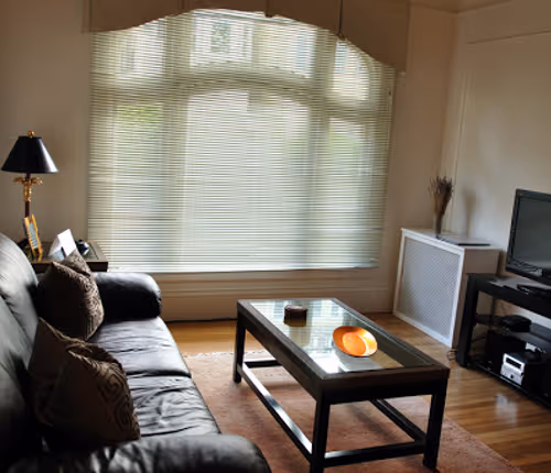 Cosy living room in Green St & Filmore St
