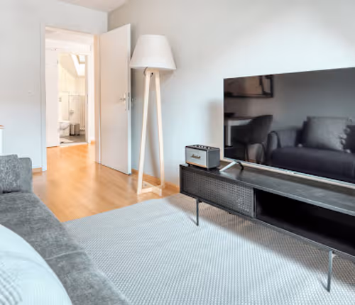 Steinenvorstadt  Serviced Apartments