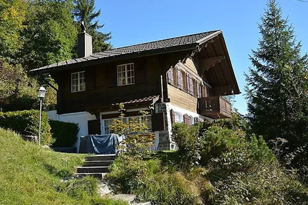 19th Century Sun Drenched Chalet With View of Hornberg