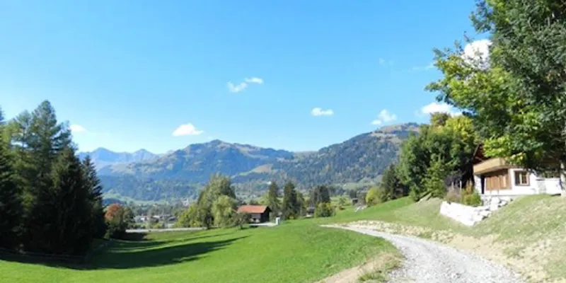 16th Century Traditional Farmhouse in Saanenland